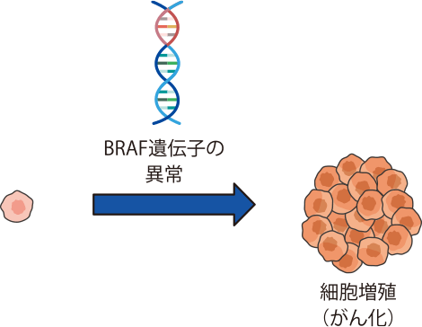 BRAF遺伝子検査とは