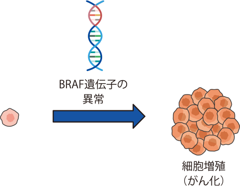 BRAF遺伝子検査