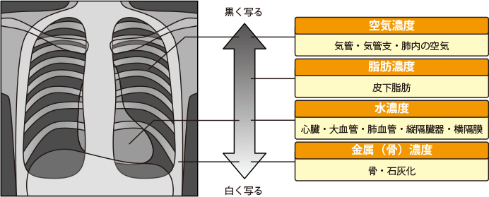 撮影法