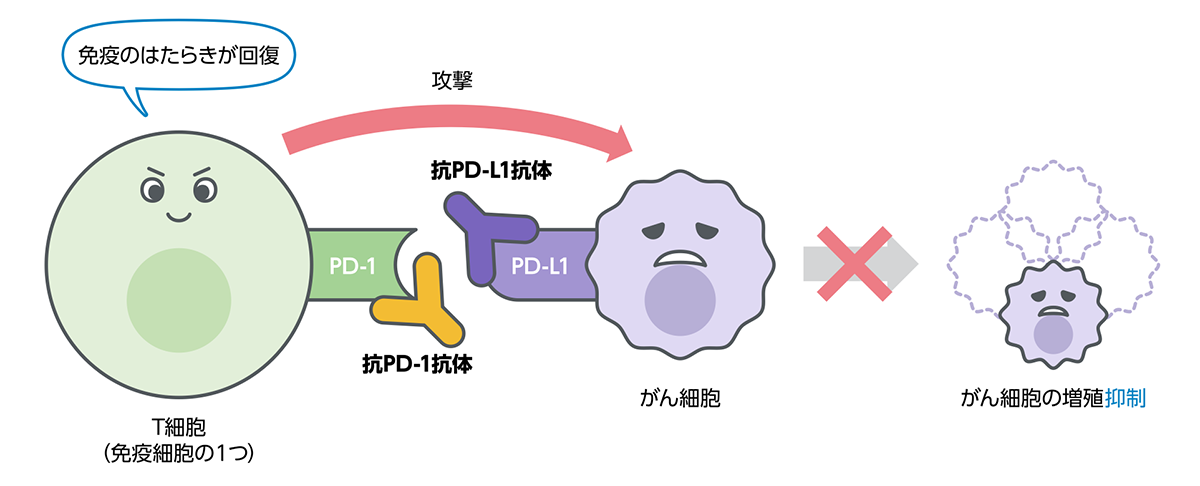 免疫のブレーキを解除する治療とPD