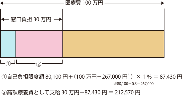 高額療養費制度の利用