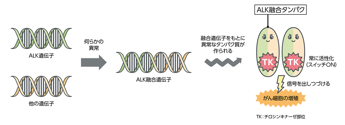 イラスト