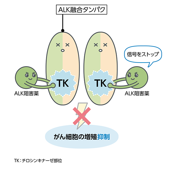 イラスト