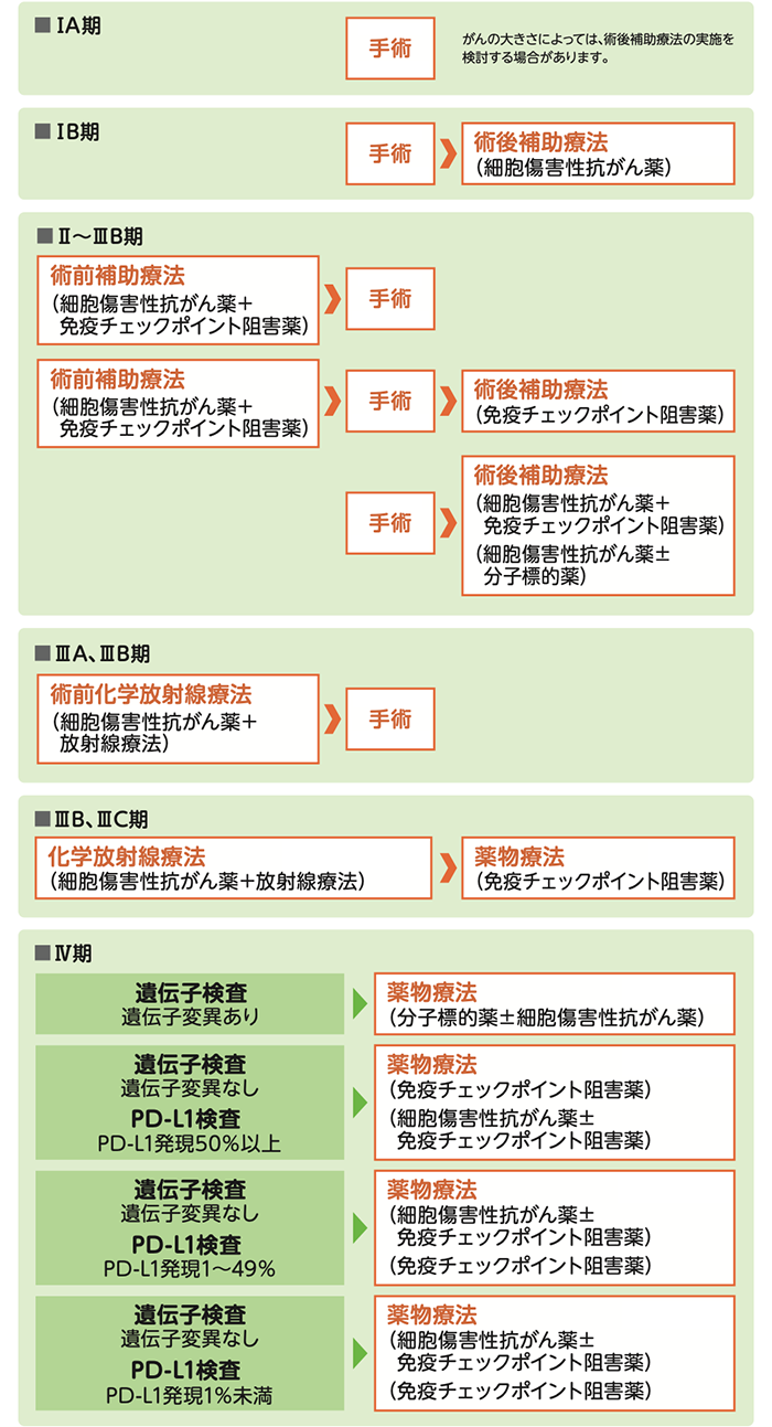 非小細胞肺がんの標準治療