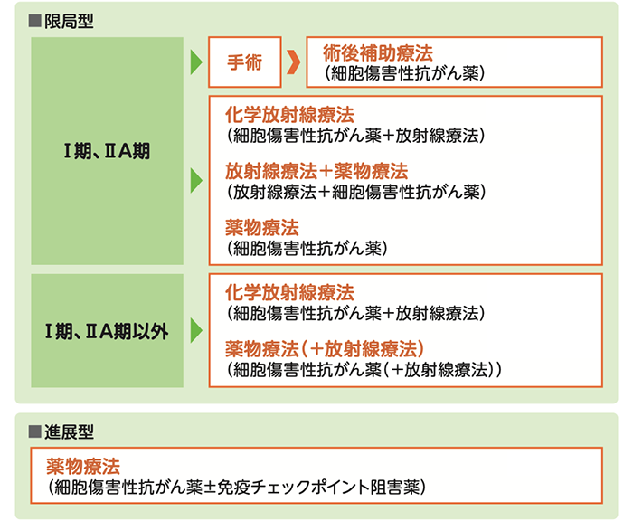 小細胞肺がんの標準治療