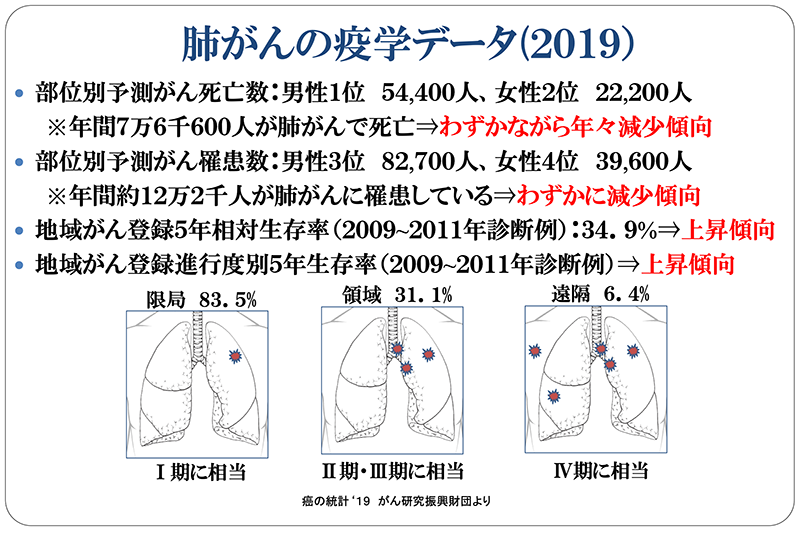 肺がんの疫学データ（2019）