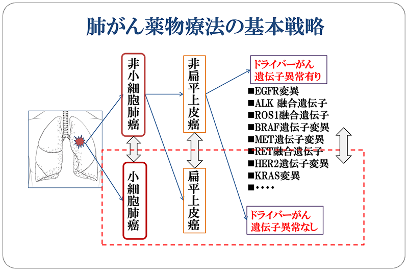 肺がん薬物療法の基本戦略