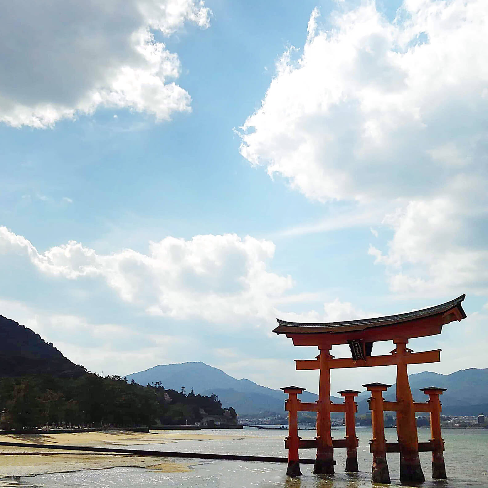 日本の空百景 前をみつめる 肺がんとともに生きる
