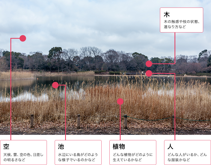 観察のポイント 木→木の触感や枝の状態、連なり方など 空→天候、雲、空の色、日差しの明るさなど 池→水辺にいる鳥がどのような様子でいるのかなど 植物→どんな植物がどのように生えているかなど 人→どんな人がいるか、どんな服装かなど