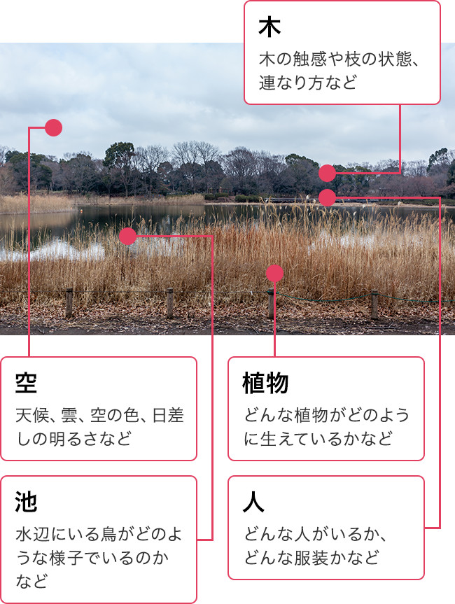 観察のポイント 木→木の触感や枝の状態、連なり方など 空→天候、雲、空の色、日差しの明るさなど 池→水辺にいる鳥がどのような様子でいるのかなど 植物→どんな植物がどのように生えているかなど 人→どんな人がいるか、どんな服装かなど