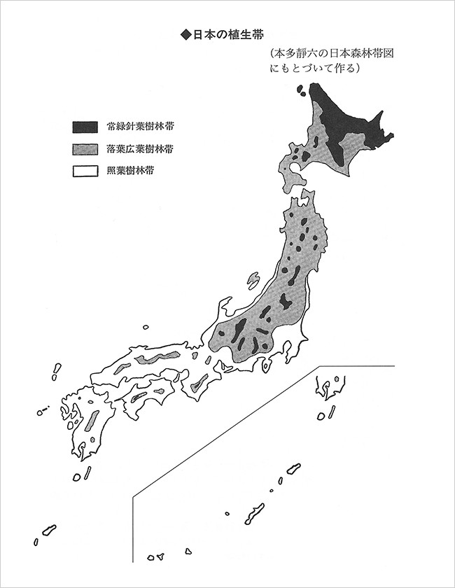 国内の森は、自然に任せると全てこのような植生になる。