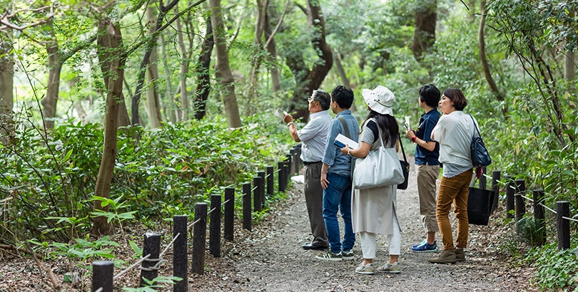 植生という視点を得るだけで、普段見慣れた公園も新鮮な印象に。