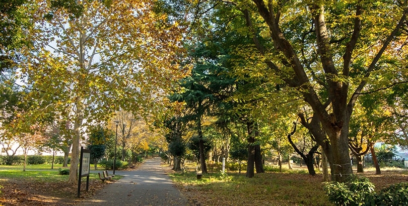 ゆるっと公園ガイド