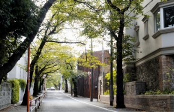 自分の感性が街ブラの羅針盤。心のままに楽しんで